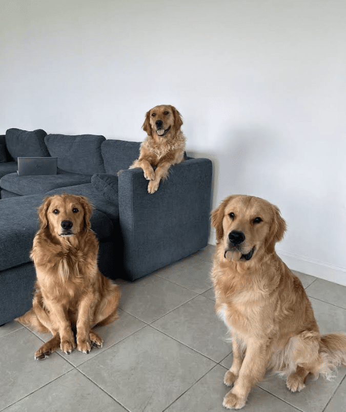 Screenshot 2025-10-24 200310