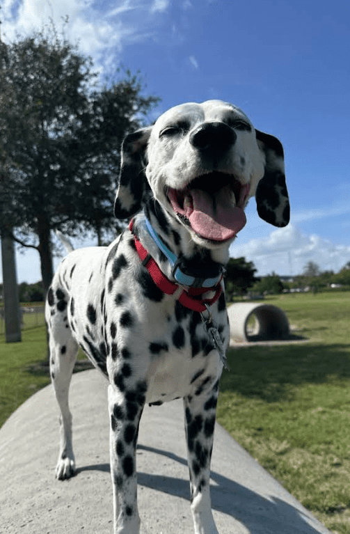 Screenshot 2025-10-24 200417