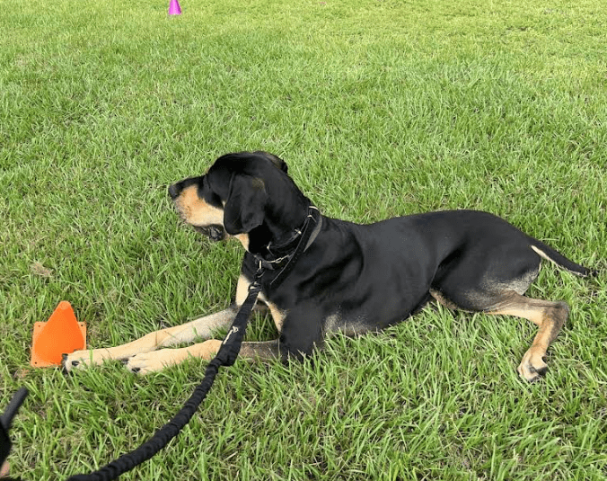 Screenshot 2025-10-24 200446