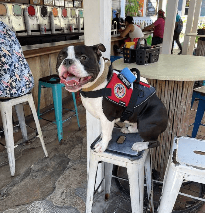 Screenshot 2025-10-24 200457