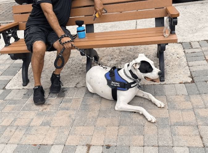 Screenshot 2025-10-24 200628