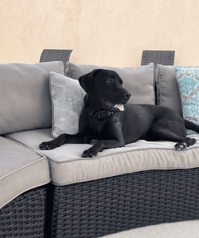 Screenshot 2025-10-24 200637